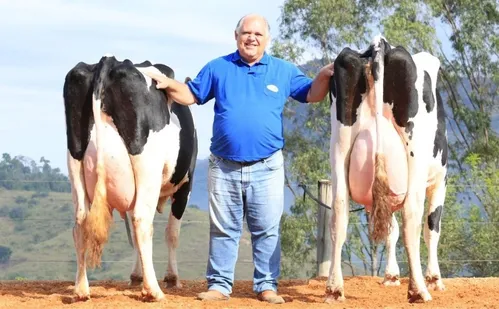 
          Imagem ilustrativa da imagem Fazenda do ES conquista prêmio de melhor criador de gado em feira internacional
          