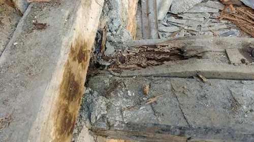 
          Imagem ilustrativa da imagem Moradora restaura imóvel condenado e agora corre risco de perdê-lo em leilão
          