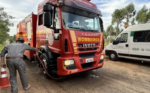 
          Imagem ilustrativa da imagem Governo do RS instala barreiras sanitárias em rodovias para conter gripe aviária
          