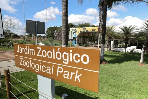 
          Imagem ilustrativa da imagem Gripe aviária: governo do DF confirma caso no Zoológico de Brasília
          