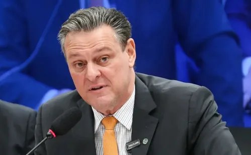 
          Imagem ilustrativa da imagem Gripe aviária não deve impactar preço da carne de frango, diz ministro
          