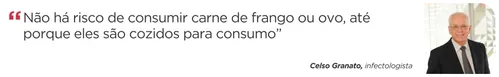 
          Imagem ilustrativa da imagem Há risco de consumir carne de frango em meio aos casos de gripe aviária?
          