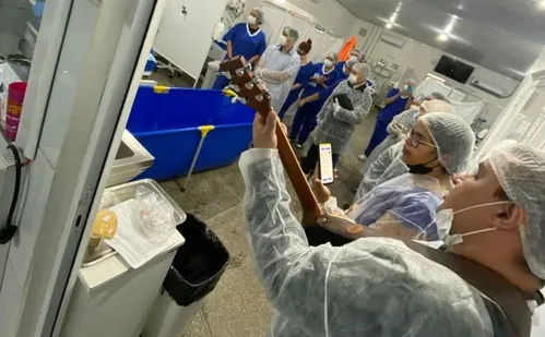 
          Imagem ilustrativa da imagem Idosa com câncer é batizada em quarto de UTI em MT
          