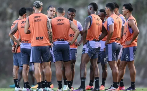 
          Imagem ilustrativa da imagem Como chega o Botafogo para a Copa do Mundo de Clubes da FIFA?
          