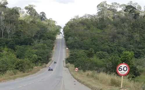 
          Imagem ilustrativa da imagem MPF denuncia sete pessoas por tráfico de animais em reserva biológica no ES
          