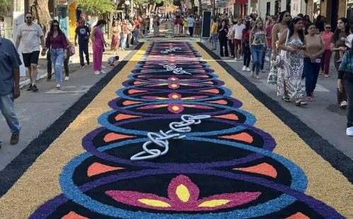 
          Imagem ilustrativa da imagem Mais de 150 mil fiéis na festa de Corpus Christi em Castelo
          
