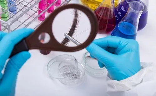 
          Imagem ilustrativa da imagem Motoristas que não fizerem exame toxicológico podem sofrer "multa automática"
          