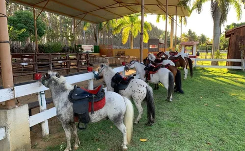 
          Imagem ilustrativa da imagem O sabor do campo: queijarias viram destino de lazer na Serra
          