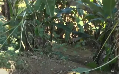 
          Imagem ilustrativa da imagem Pai é preso após arremessar bebê de quatro meses de barranco em Cariacica
          