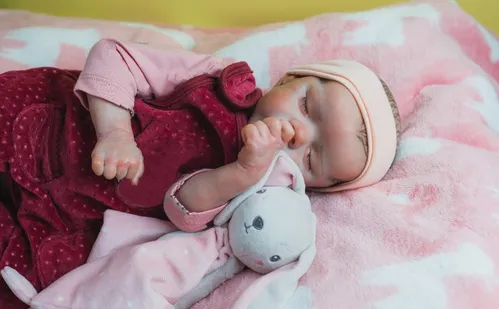 
          Imagem ilustrativa da imagem Prefeito veta projeto de lei que cria o "Dia da Cegonha Reborn"
          