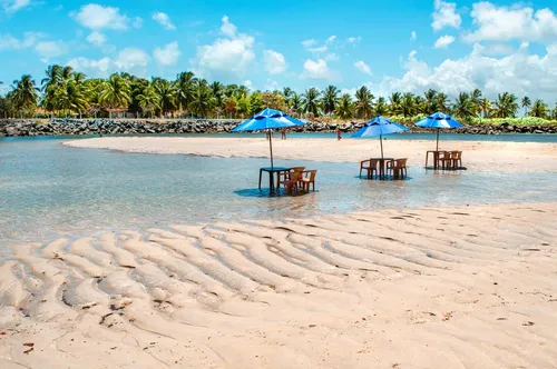 
          Imagem ilustrativa da imagem Prefeitura de Ipojuca anula licenciamento de condomínio à beira-mar em Macaraípe
          