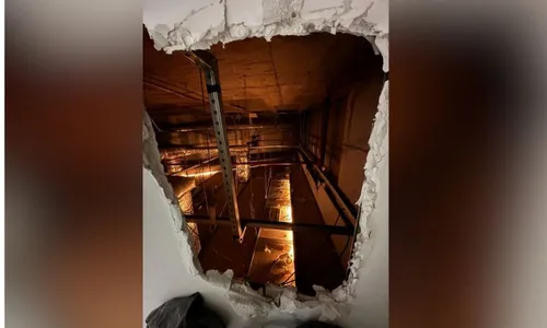 
          Imagem ilustrativa da imagem Preso suspeito de furtar joalheria via duto de ar de shopping em Olinda
          