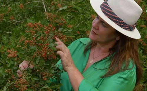 
          Imagem ilustrativa da imagem Produtora de pimenta-rosa de São Mateus fornece produto para marca de cosméticos
          