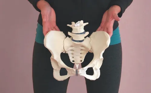 
          Imagem ilustrativa da imagem Saúde e bem-estar: saiba como conseguir atendimento gratuito
          