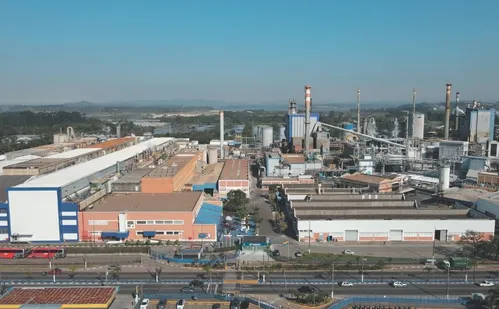 
          Imagem ilustrativa da imagem Suzano anuncia compra de empresa americana. Veja como será a produção
          