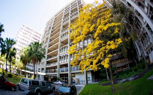 
          Imagem ilustrativa da imagem Uerj recebe até quinta inscrições para vagas remanescentes com nota do Enem
          