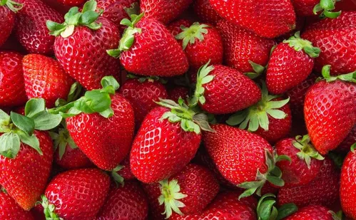 
          Imagem ilustrativa da imagem Morango do amor: saiba quanto a fruta rendeu para o ES no segmento rural em 2024
          