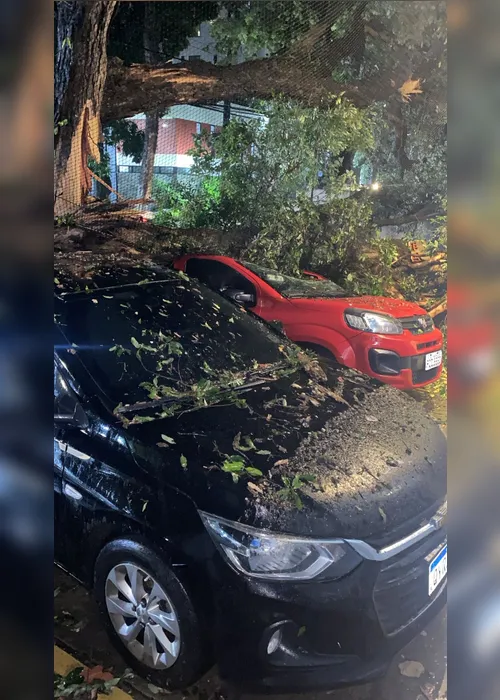 Imagem ilustrativa da imagem Incêndio no Bairro de São José e quedas de árvores no Espinheiro  e em Casa Amarela