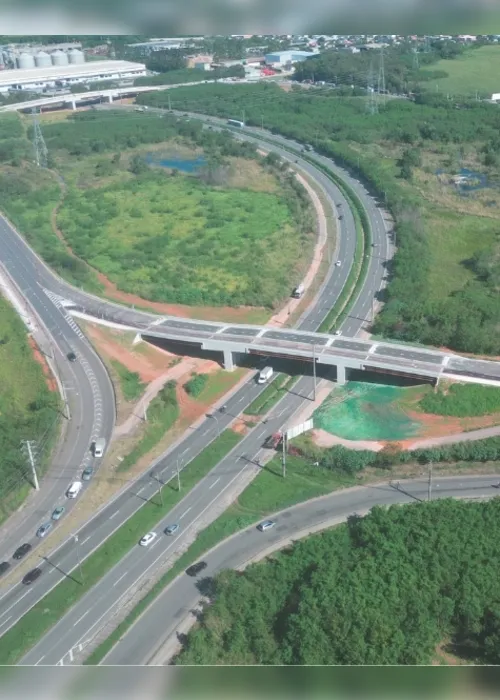 Imagem ilustrativa da imagem Novos viadutos devem atrair mais lojas e casas na Grande Vitória