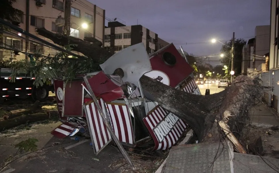 Imagem ilustrativa da imagem Árvore cai e atinge foodtruck em Jardim da Penha