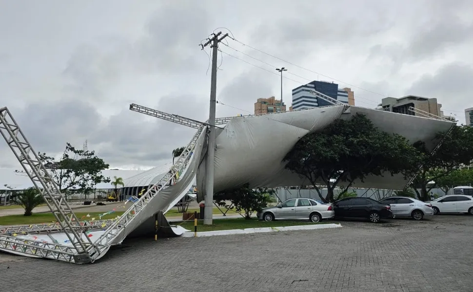 Imagem ilustrativa da imagem Grande Vitória tem registros de quedas de árvores após ventos fortes