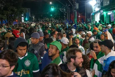 Imagem ilustrativa da imagem Bloqueios, revista policial, frio e show: torcida se aglomera para torcer pelo Palmeiras no Mundial