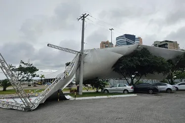 Imagem ilustrativa da imagem Grande Vitória tem registros de quedas de árvores após ventos fortes