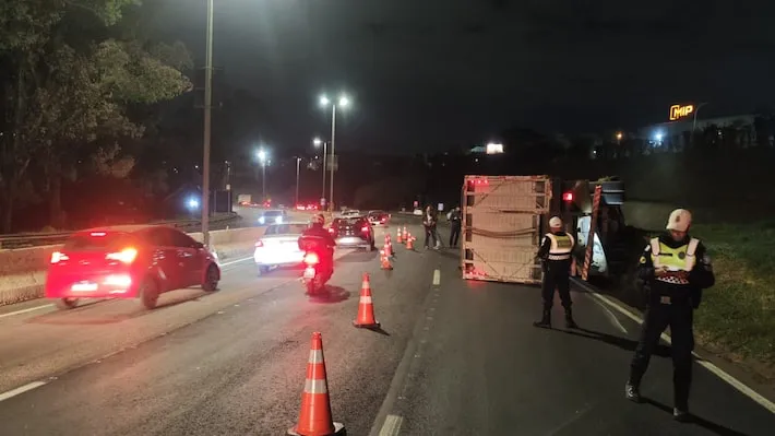 Imagem ilustrativa da imagem Caminhão carregado de bois e vacas tomba no Anel Rodoviário de BH; veja vídeo