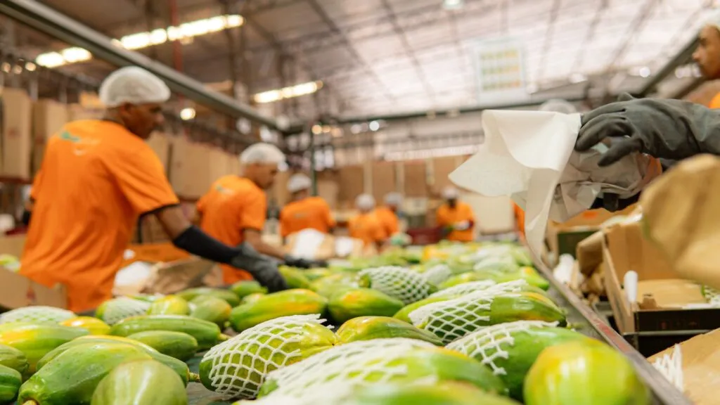 Imagem ilustrativa da imagem Mais 5 empresas vão investir no Espírito Santo