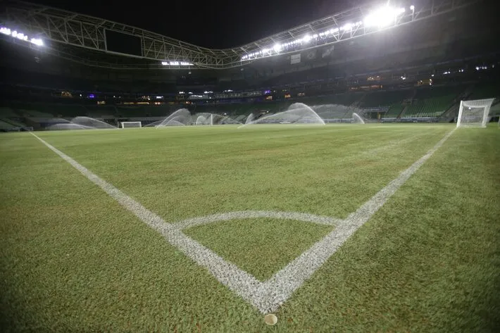 Imagem ilustrativa da imagem Palmeiras e WTorre planejam trocar o gramado do Allianz Parque