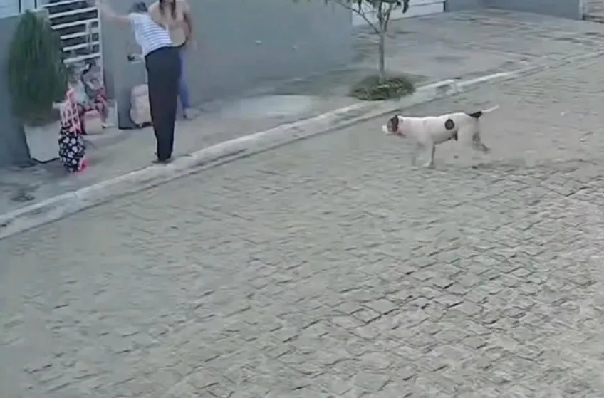 Imagem ilustrativa da imagem Pitbull ataca mães e filhas pequenas no Sertão de Pernambuco; COM VÍDEO
