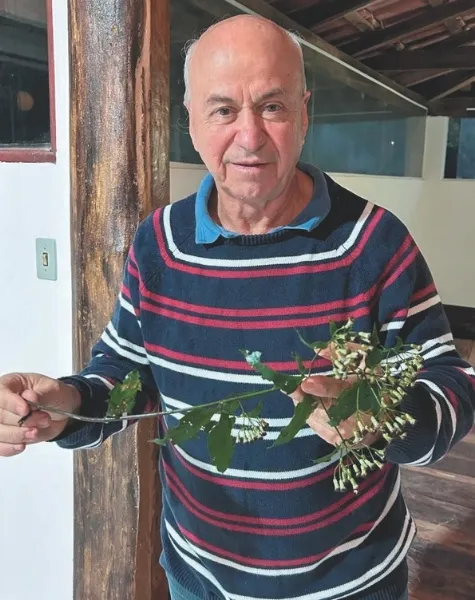 Imagem ilustrativa da imagem Rota das Cavernas e Plantas Medicinais: turismo científico em Domingos Martins