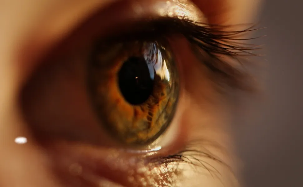 Imagem ilustrativa da imagem Retinóloga explica importância do diagnóstico ocular precoce