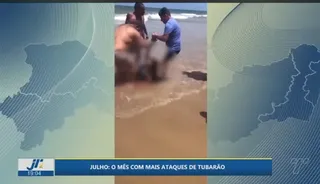 Imagem ilustrativa da imagem Julho é o mês com maior presença de tubarões nas praias. Veja como prevenir ataques