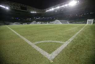 Imagem ilustrativa da imagem Palmeiras e WTorre planejam trocar o gramado do Allianz Parque