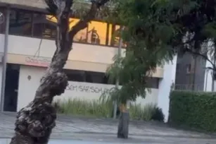 Imagem ilustrativa da imagem "Sem SAF, sem Paz". Empresa de diretor do Santa Cruz é alvo de pichação