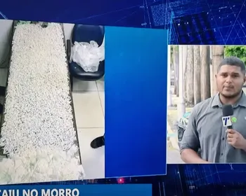 Imagem ilustrativa da imagem Polícia apreende grande quantidade de drogas no Morro da Conceição