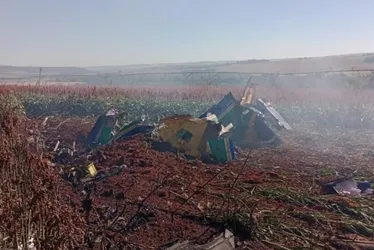 Imagem ilustrativa da imagem Avião da Esquadrilha da Fumaça cai no interior de São Paulo