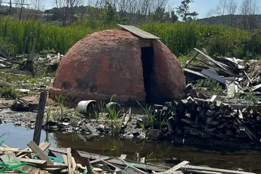 Imagem ilustrativa da imagem Carvoaria ilegal é fechada e dono é detido por crime ambiental em Vila Velha