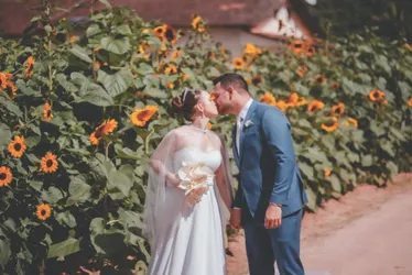Imagem ilustrativa da imagem Casal do ES planta mais de mil girassóis para decorar cerimônia de casamento