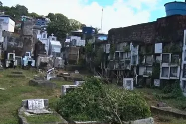 Imagem ilustrativa da imagem Cemitério de Águas Compridas segue abandonado após TAC da Prefeitura de Olinda