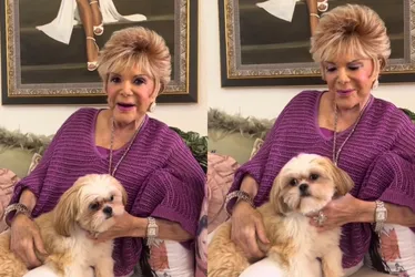Imagem ilustrativa da imagem Connie Francis, cantora de 'Pretty Little Baby', morre aos 87 anos