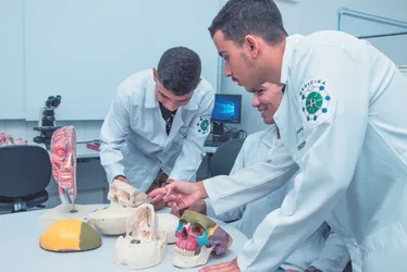 Imagem ilustrativa da imagem Enamed: estudantes de Medicina vão ter de fazer provão