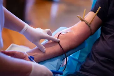 Imagem ilustrativa da imagem Estudo diz que doar sangue traz benefício à própria saúde