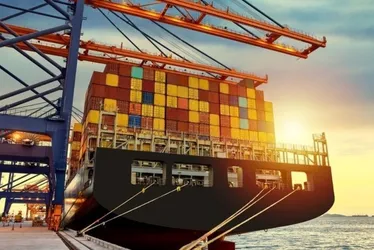Imagem ilustrativa da imagem Exportações do agro capixaba ganham novos mercados no primeiro semestre de 2025