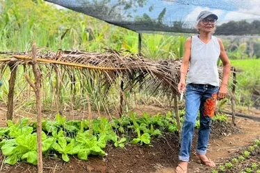 Imagem ilustrativa da imagem Galinhas, licores e cisternas: uma brecha no tempo que sustenta vidas no Cabo