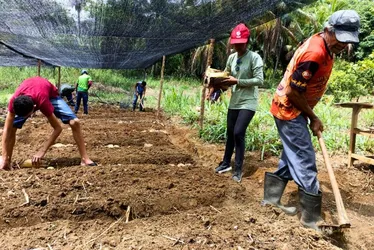 Imagem ilustrativa da imagem Galinhas, licores e cisternas: uma brecha no tempo que sustenta vidas no Cabo