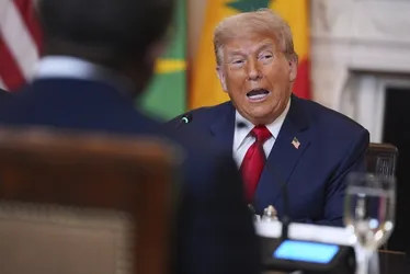 Imagem ilustrativa da imagem Governo e empresários do ES reagem a tarifaço de Trump contra o Brasil