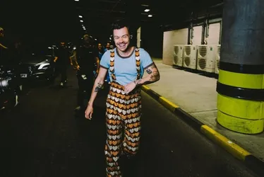 Imagem ilustrativa da imagem Harry Styles lança linha de vibradores e lubrificantes