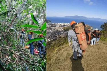 Imagem ilustrativa da imagem Homem morre após queda de asa-delta no litoral de SP